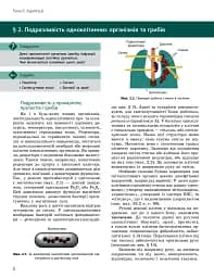 Біологія і екологія. Підручник. Профільний рівень. 11 клас - мініатюра 5