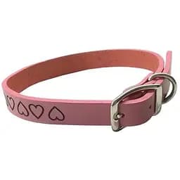 Нашийник для собак Coastal Circle-T Fashion шкіряний Розовий 2,5 см x 65 см