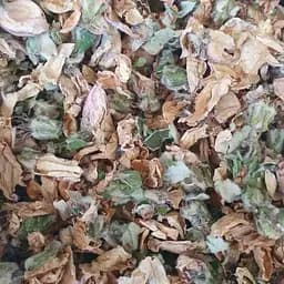 100 г айва цвет