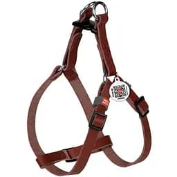 Шлея котів та дрібних собак Waudog Classic шкіряна з QR паспортом, пластиковий фастекс, XS коричневий