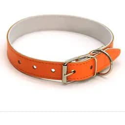 Нашийник для собак Zoo-hunt ОД Фарби шкіряний подвійний оранжевий 1,6/23-31 см