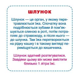 Розумні картки. Моє тіло. 30 карток - мініатюра 5
