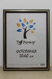 Фоторамка 30х40, вишнева із золотою змійкою, 2416-152-9, СКЛО + КАРТОН                                                                                                                                                    