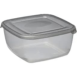 Контейнер Plast Team Polar квадратный 170х170х83 мм 1.5 л