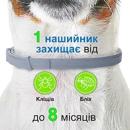 Нашийник Elanco (Bayer) Foresto від бліх та кліщів для кішок і собак малих порід 38 см - мініатюра 4
