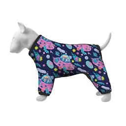 Ветровка для собак Waudog Clothes, Рик и Морти 1, L55