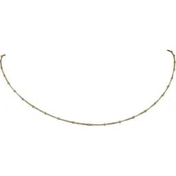 Золотий ланцюжок Схід Панцирний. 53101103041 45