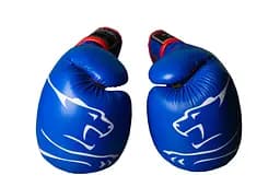 Боксерські рукавиці (PP-3018) PowerPlay 10 унцій fit0003751 - мініатюра 2