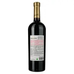 Вино Koblevo Exclusive Collection Каберне, 9,7-13%, 0,75 л (637603) - мініатюра 2