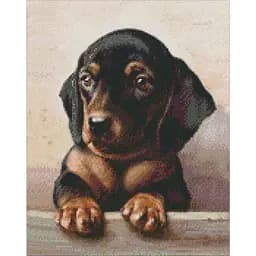 Алмазна мозаїка Ideyka Відданий погляд ©Carl Reichert AMO7296 40х50 см