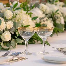 Набір келихів для коктейлів TS Kitchen фігурних на високій ніжці 2 штуки по 290 мл жовтий HP544