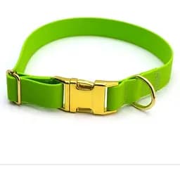 Нашийник для собак Zoo-hunt Колорит біотановий 2,5 см 30-51 см салатовий