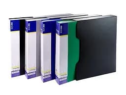 Папка з 100 файлами А4 E30610 Economix у пластиковому боксі (4044572306104) МІКС