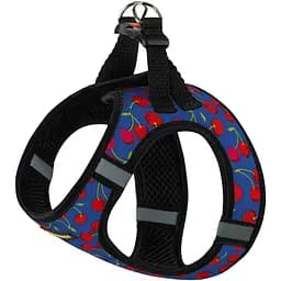 Шлея для собак Bronzedog Sport Vest Вишни M 24х18х3 см синяя