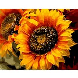 Картина по номерам Шпион солнца 40х50 см 13106-AC