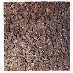 Фон з кори Repti-Zoo Big Tree Background 30х30 см (NCT10) для тераріуму