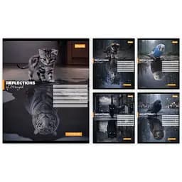 Упаковка зошитів 1В Inner strength А5/24 кл. 20 шт. (768960)
