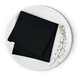 Набір серветок Cosas Panther 2 шт. 30х30 см чорний (Set-2Serviette_RanforsBlack_30) - мініатюра 4