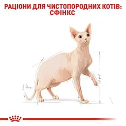 Сухий корм для дорослих кішок породи сфінкс Royal Canin Sphynx Adult, з м'ясом птиці, 2 кг - мініатюра 2