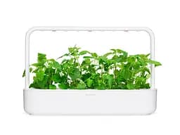 Змінний картридж Click & Grow Котяча м'ята 3 капсули (7465) - мініатюра 3