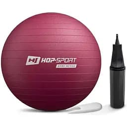 Фітбол Hop-Sport 45 см HS-R045YB сливовий + насос