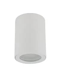 Точковий світильник TK Lighting 10932 Ligno GU10 1x10W IP44 білий