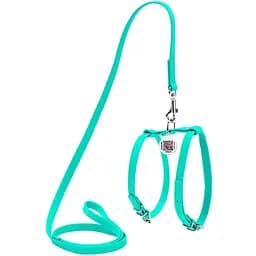 Шлея з повідцем для собак Waudog Glamour шкіряна з QR паспортом, ментоловий