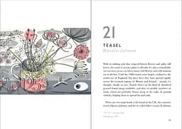 The Book of Wild Flowers - мініатюра 4