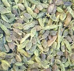 100 г софора японская плоды сушеные - свежий урожай