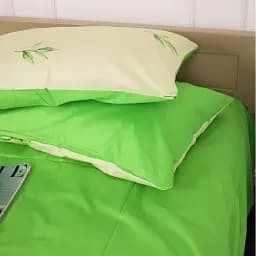 Наволочка MirSon Сатин 22-1367 Isaac 45х45 см зеленая (2200009386848)