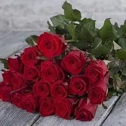 Троянда чайно-гібридна Agro-Market Red Eagle саджанець класу АА+ вищий сорт 1 шт. в упаковці (181510)