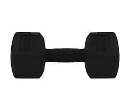 Гантель композитная PowerPlay 4124 Hercules 5 кг Черный 1 шт (PP_4124_5kg)