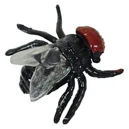 Прикол Муха