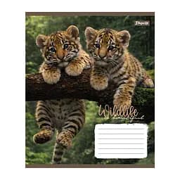 Упаковка зошитів 1В Wildlife is beautiful А5/24 лін. 20 шт. (769147) - мініатюра 4