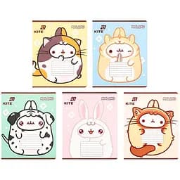 Набір зошитів Kite 18 арк., кл.,  софт тач + УФ лак, 20 шт. (ML26-236)