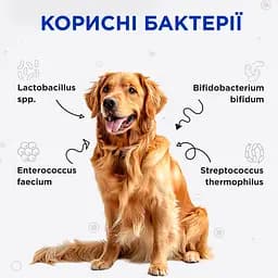 Пробіотики для собак та котів Modes Kombiflor для підтримки балансу мікрофлори кишківника 15 саше - мініатюра 2