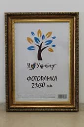 Фоторамка 21Х30, (А4), зістарене золото з обрамленням, 377-1176, СКЛО + КАРТОН                                                                               