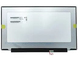 Матриця 17.3" Slim eDP 390mm 1920х1080 IPS, 300Hz, 40pin mini, без кріплень AUO B173HAN05.1, матова