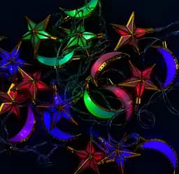 Гірлянда світлодіодна С 31303, 5 м, мультиколор, від мережі 220 В