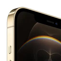 Apple iPhone 12 Pro Max 256 GB Gold (Grade C) Seller Refurbished - мініатюра 2