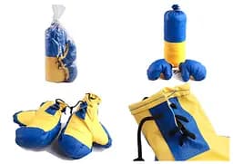 Боксерський набір Стратег Ukraine маленький, 2014