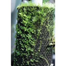 Тропічна бавовна Repti-Zoo Plant Cotton XL 59x44 см (YZM001) для моху і рослин у тераріум - мініатюра 7