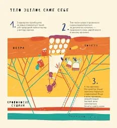 Книжка про вавки - мініатюра 6