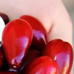 Саджанець Agro-Market Кизил Михайлівський 1 шт. в пакуванні (46044)