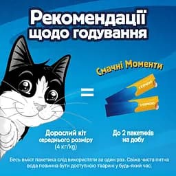 Уцінка. Вологий корм для дорослих котів Felix cмачні моменти додатковий з куркою 4 шт. х 10 г - мініатюра 9