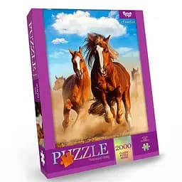 Пазл Freedom Danko Toys C2000-01-06, 2000 эл.