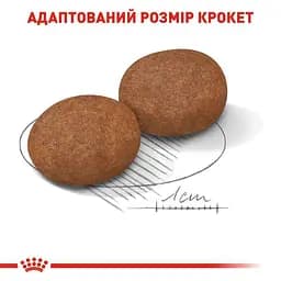 Сухий корм для старіючих собак Royal Canin Medium Adult 7+, 4 кг (3005040) - мініатюра 3