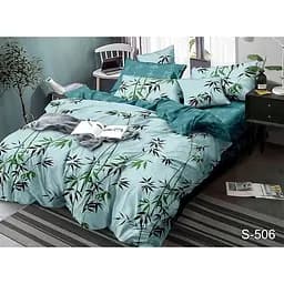 Комплект постільної білизни TAG Tekstil з компаньйоном Євро 000211095 (S506)