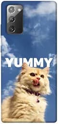 Чохол Demsky Sky kitty для Samsung Galaxy Note 20