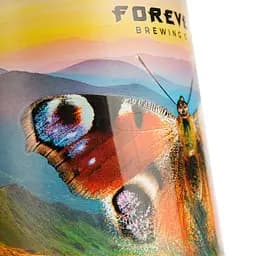 Набір пива Forever Top of the Top 4.5-8% 3 л з/б (0.5 л x 6 шт) - мініатюра 11